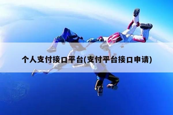 个人支付接口平台(网站支付平台接口申请)-七年博客